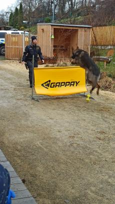 Náhodná fotogalerie