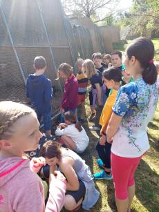 Náhodná fotogalerie